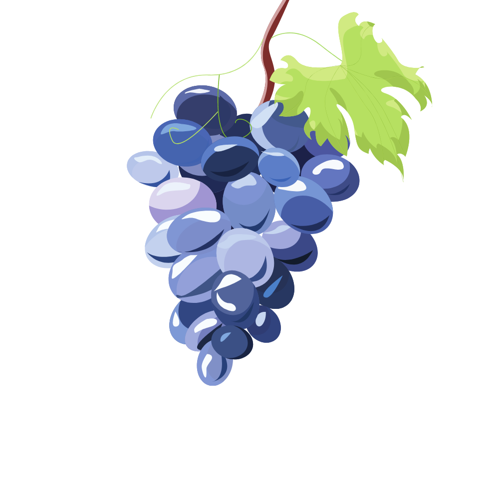 https://www.uchaux.fr/wp-content/uploads/2022/03/domaine-viticole-1.png